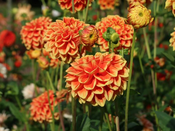 Boutiques de décoration proposant de l'upcycling : où acheter ?